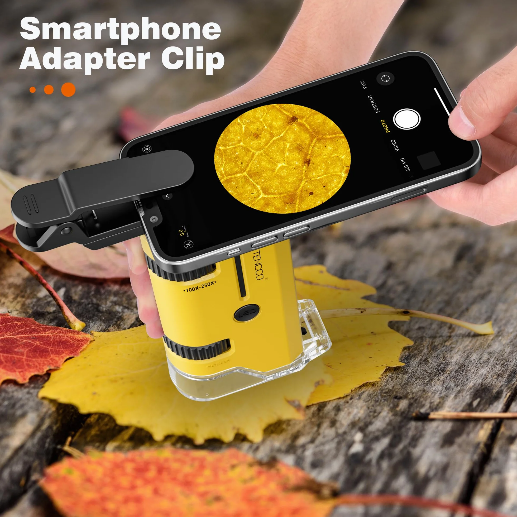 Mini Microscope de Poche 100x-250x pour Enfants Adultes, Microscope Portatif Main, Miniscope Portable pour Enfants Adultes, Scientifique Education, Jaune