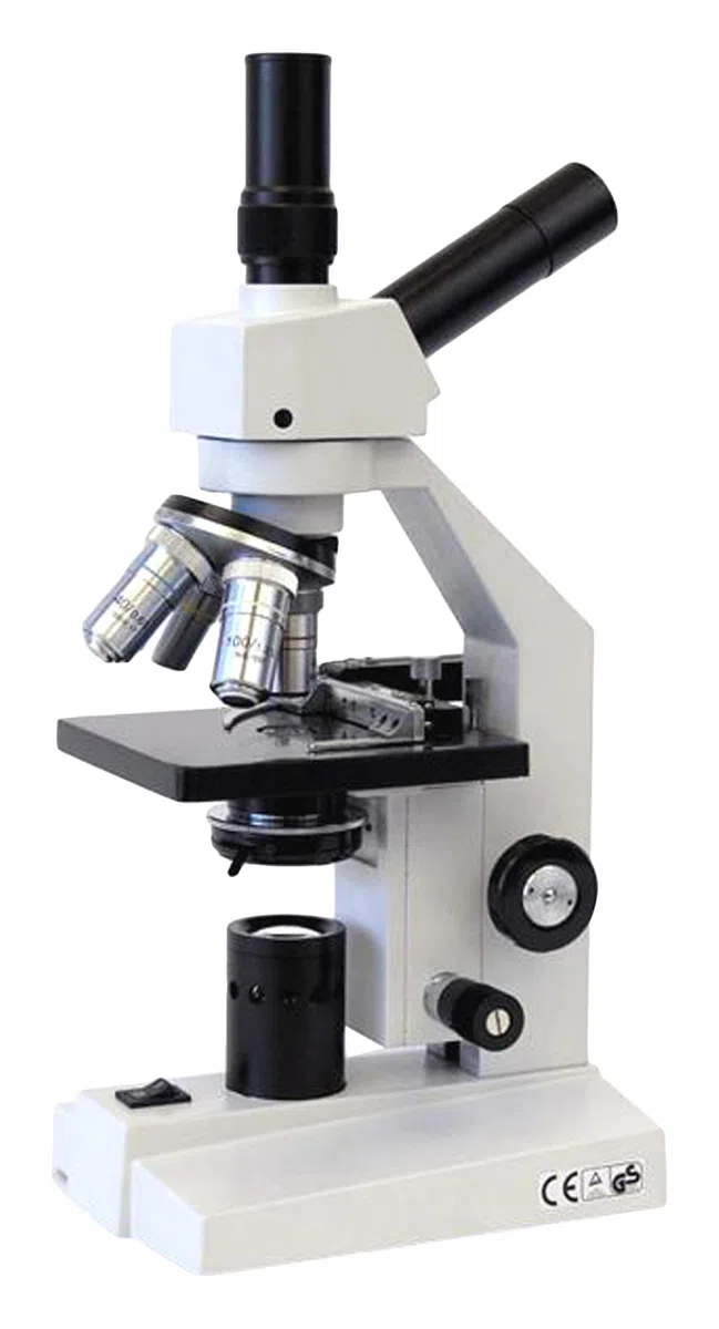 AmScope D120-ms 40 x -1000 X Dual-View composé microscope avec Stage mécanique