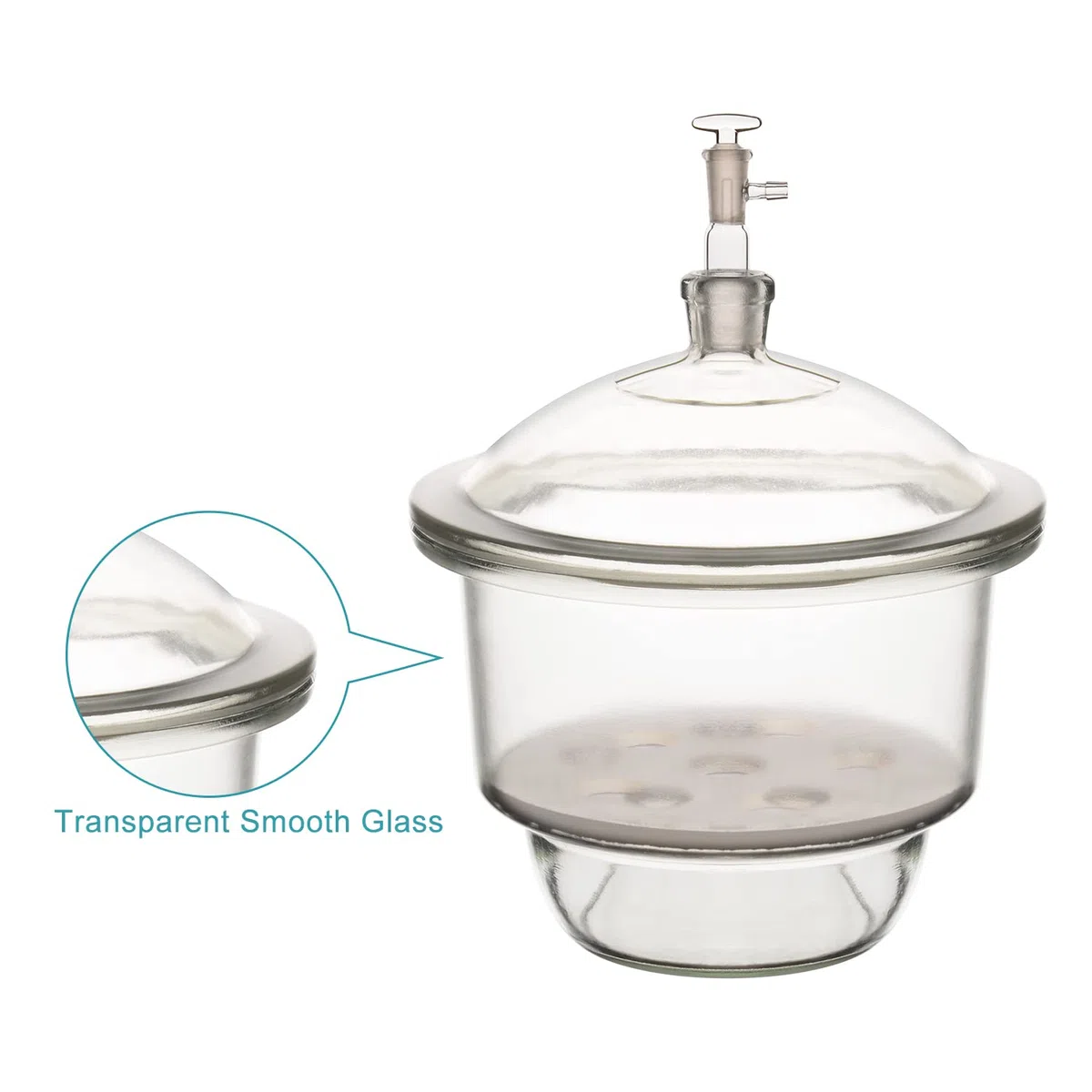 stonylab Dessiccateur Sous Vide en Verre, Laboratoire avec Vanne de Vide en Verre et Plaque de Porcelaine de ID:240 mm pour la Recherche en Laboratoire