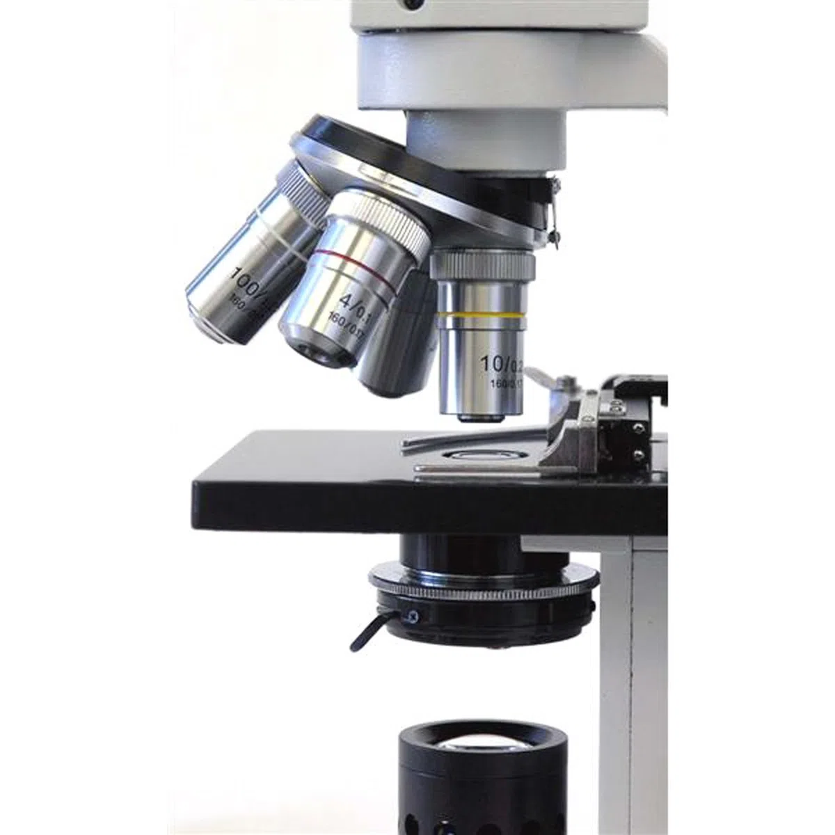 AmScope D120-ms 40 x -1000 X Dual-View composé microscope avec Stage mécanique