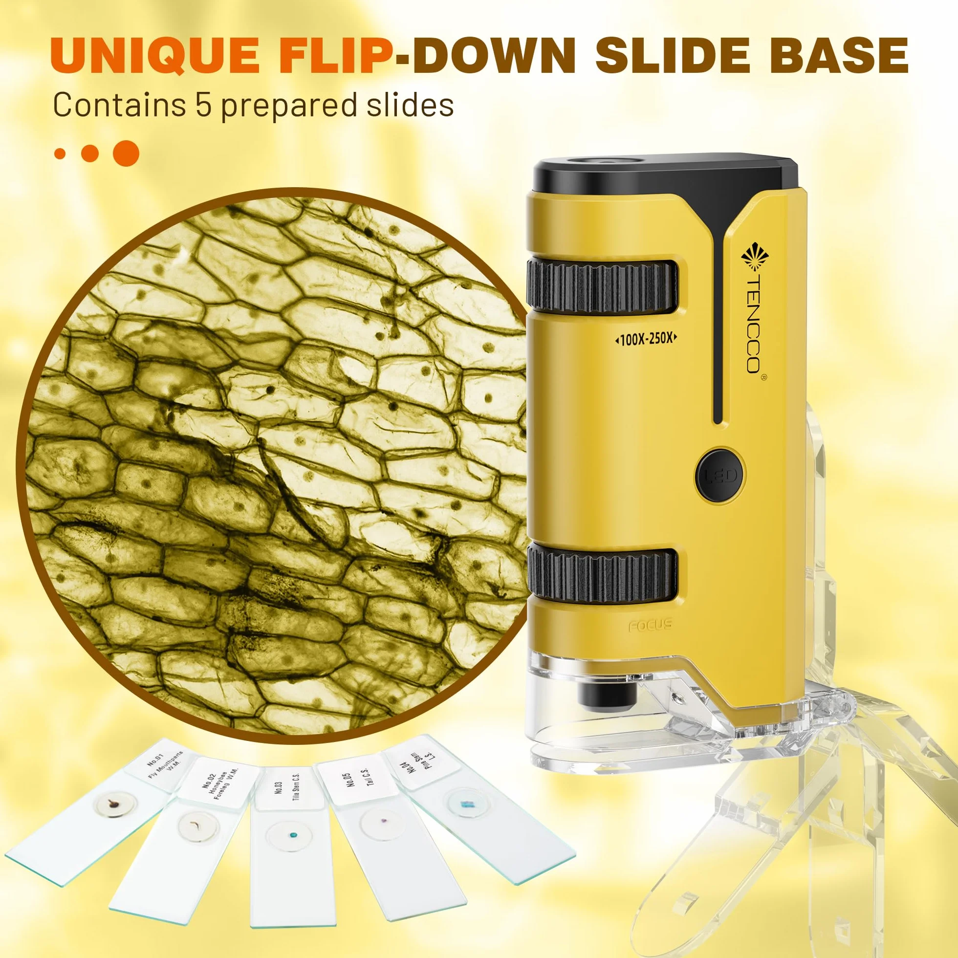 Mini Microscope de Poche 100x-250x pour Enfants Adultes, Microscope Portatif Main, Miniscope Portable pour Enfants Adultes, Scientifique Education, Jaune