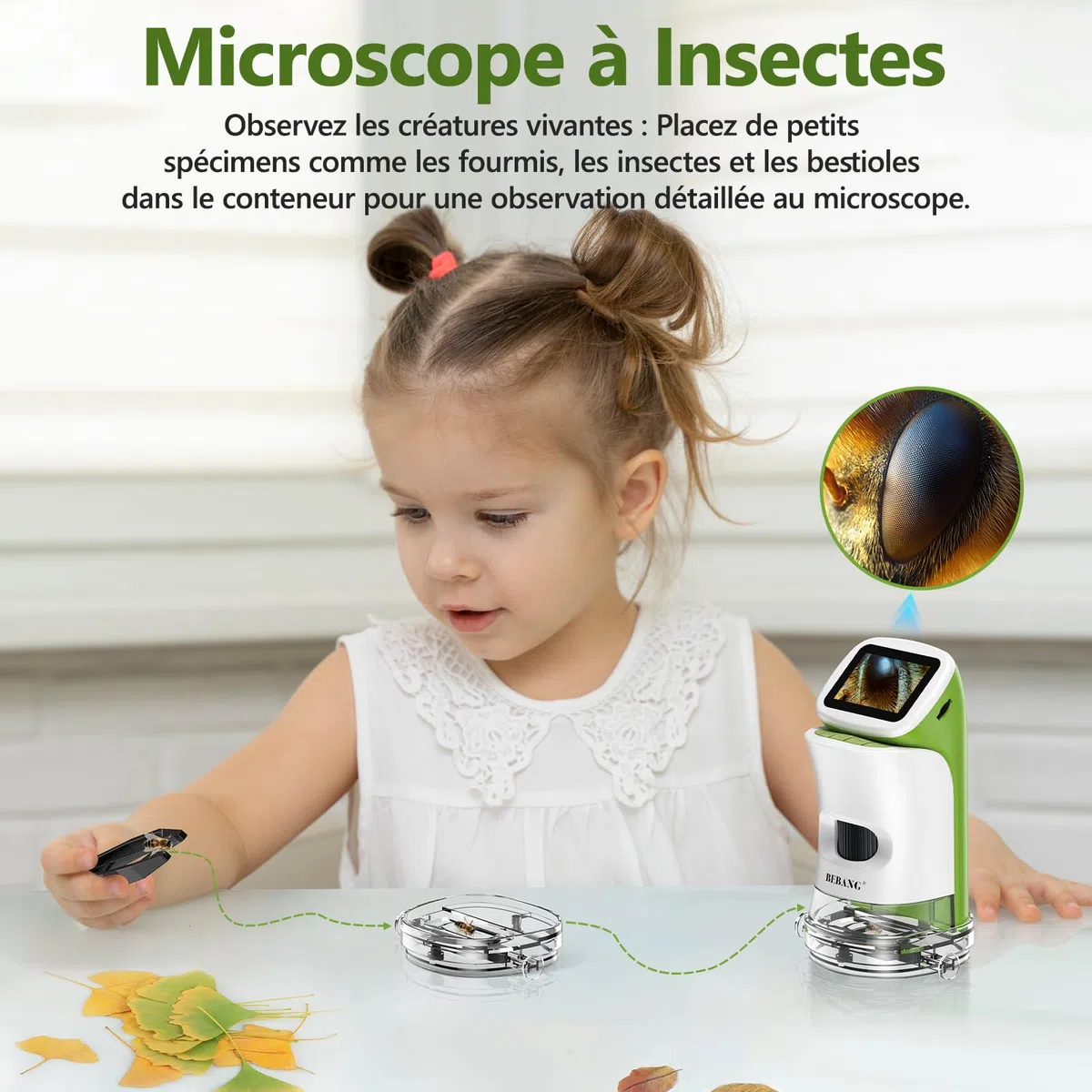 Microscope Numérique Portable de Poche pour Enfant, Mini Scope Détachable HD 4K 2" Écran Cadeau Noël Garçons Filles Jouet Éducatif STEM Kit d'expériences Scientifiques avec Lames et Carte 32G
