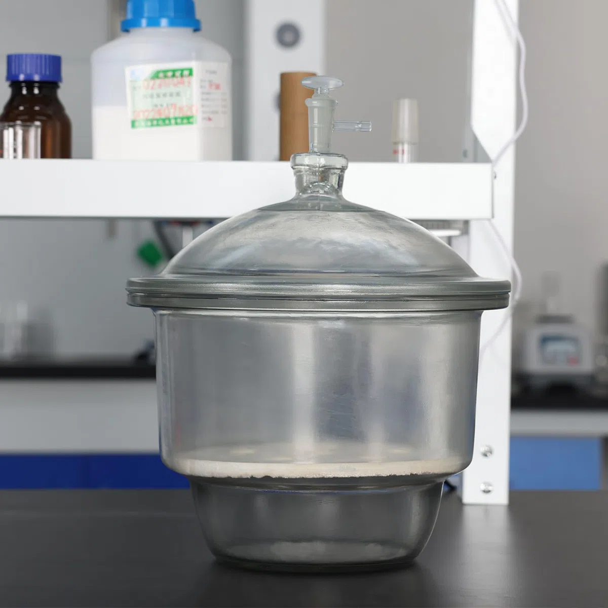 stonylab Dessiccateur Sous Vide en Verre, Laboratoire avec Vanne de Vide en Verre et Plaque de Porcelaine de ID:240 mm pour la Recherche en Laboratoire