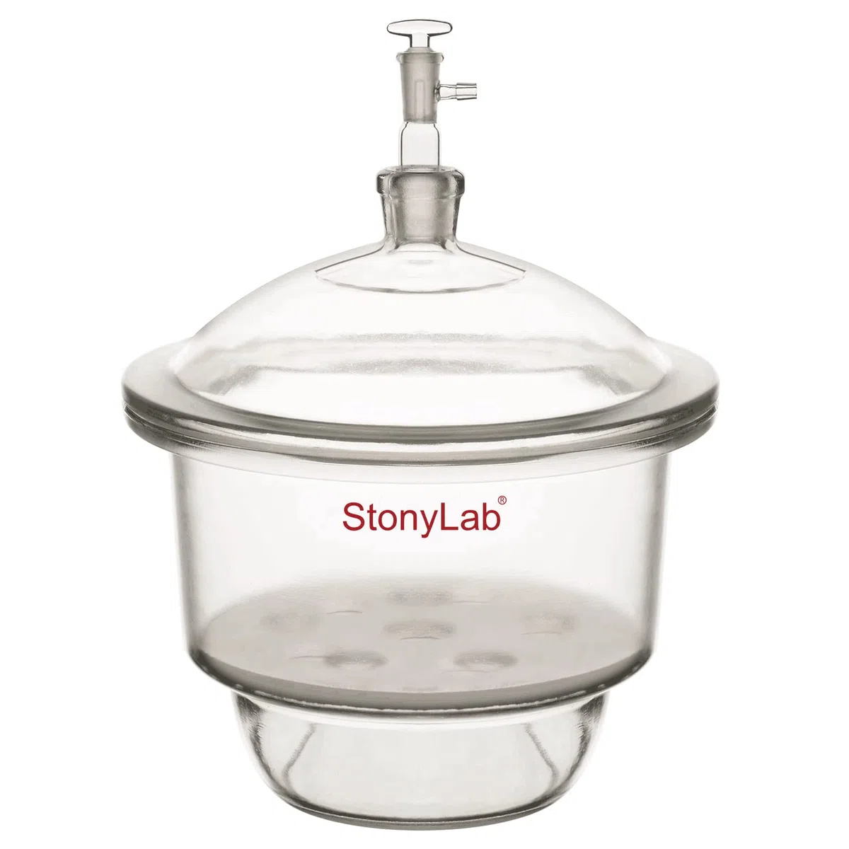 stonylab Dessiccateur Sous Vide en Verre, Laboratoire avec Vanne de Vide en Verre et Plaque de Porcelaine de ID:240 mm pour la Recherche en Laboratoire