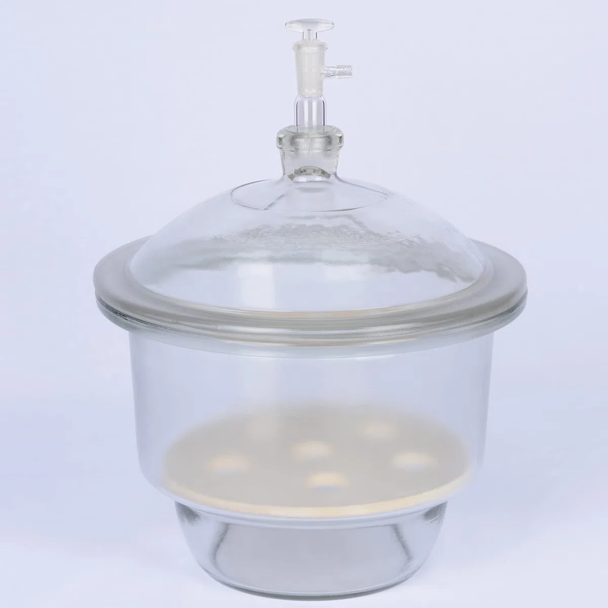 stonylab Dessiccateur Sous Vide en Verre, Laboratoire avec Vanne de Vide en Verre et Plaque de Porcelaine de ID:240 mm pour la Recherche en Laboratoire
