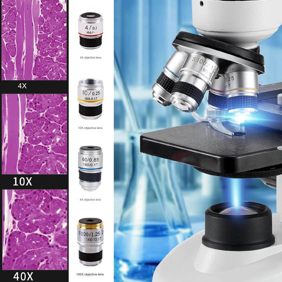 Microscope Optique Professionnel 5000X, avec oculaire électronique, Objectif 4X, 10X, 40X, 100X, Microscope trinoculaire amélioré pour Les élèves du Primaire et du secondaire