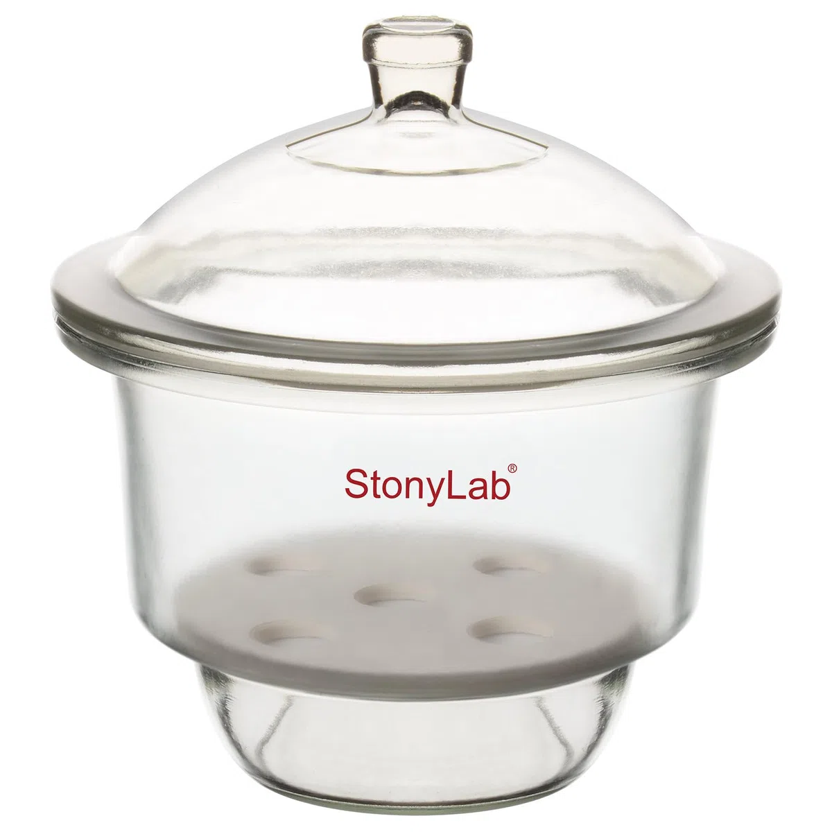 stonylab Dessiccateur en Verre, Dessiccateur de Laboratoire avec Couvercle à Bouton et Plaque en Porcelaine de ID:180 mm pour Recherche en Laboratoire