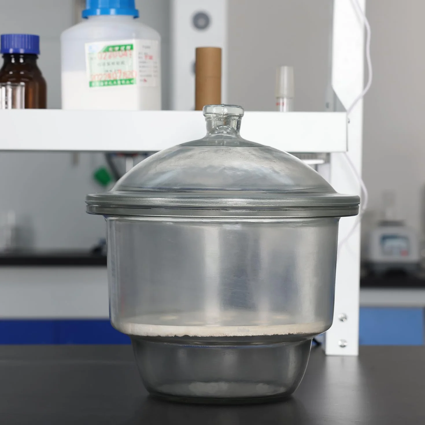 stonylab Dessiccateur en Verre, Dessiccateur de Laboratoire avec Couvercle à Bouton et Plaque en Porcelaine de ID:180 mm pour Recherche en Laboratoire