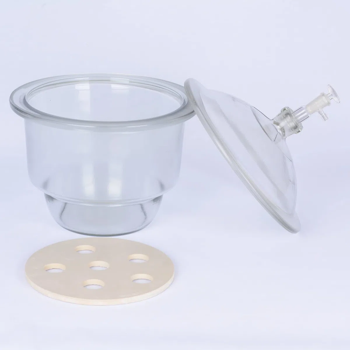 stonylab Dessiccateur Sous Vide en Verre, Laboratoire avec Vanne de Vide en Verre et Plaque de Porcelaine de ID:240 mm pour la Recherche en Laboratoire